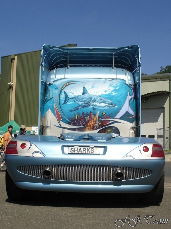 Svempas Shark (28).JPG